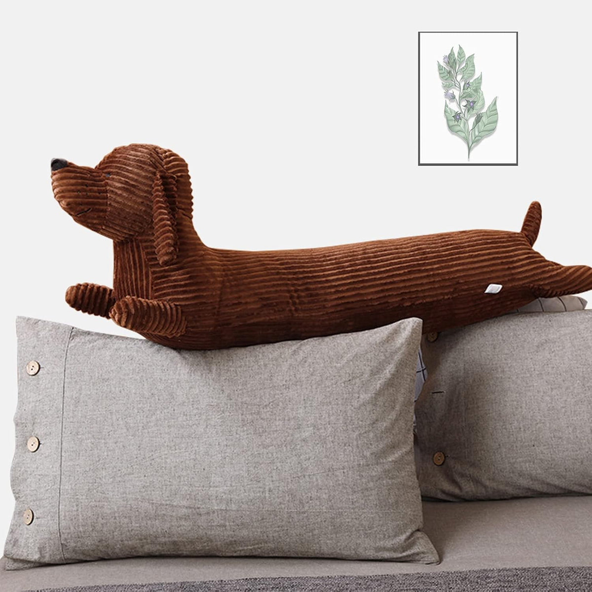 Coussin chien saucisse Teckel canapé - espace enfant